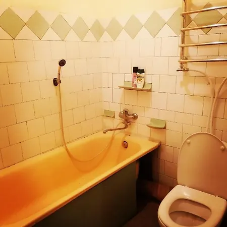 Apartment 1Кім Апарт Поруч Оперного Театру Поруч Тгц Форум На Ветеранів