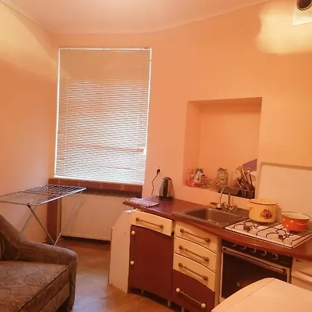 1Кім Апарт Поруч Оперного Театру Поруч Тгц Форум На Ветеранів