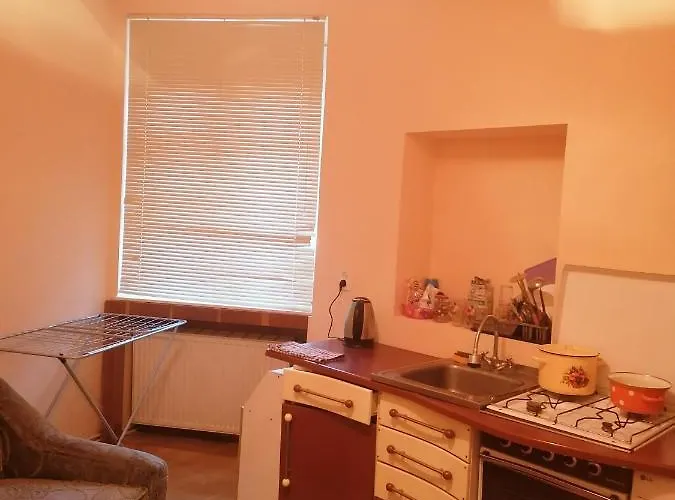 1Кім Апарт Поруч Оперного Театру Поруч Тгц Форум На Ветеранів